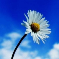 警惕盛世創富不正規！老師直播喊單騙局揭露！揭露虧損真相內幕