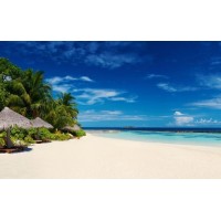 曝光天元農商農產品虧損騙局！老師帶單指導不正規！自述追回經歷