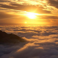 聚焦！眉達策略不正規(guī)！受害者親述虧損過程！真相告誡大家！