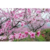 焦點：世紀金業(yè)不正規(guī)！受害者親述虧損過程！真相告誡大家！