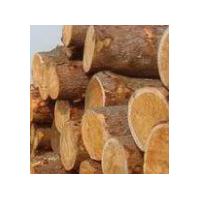 張家港木材進(jìn)出口代理